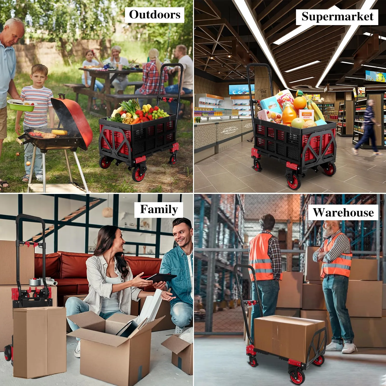 2-in-1 Trolley