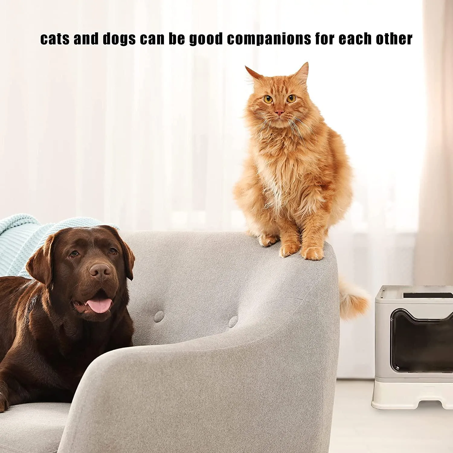 Belvie Pets® Enclosed Cat Litter Box with Free Scoop, Easy Assemble & Foldable, Suitable for Cat Large or Small