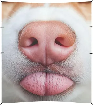 Close Up Dog Nose Funny Canopy Tent Beach Sun Shade Outdoor Patio Funny Camping Sun Shelter 9.2 × 10.5 FT Canopies with Poles Sand Anchor