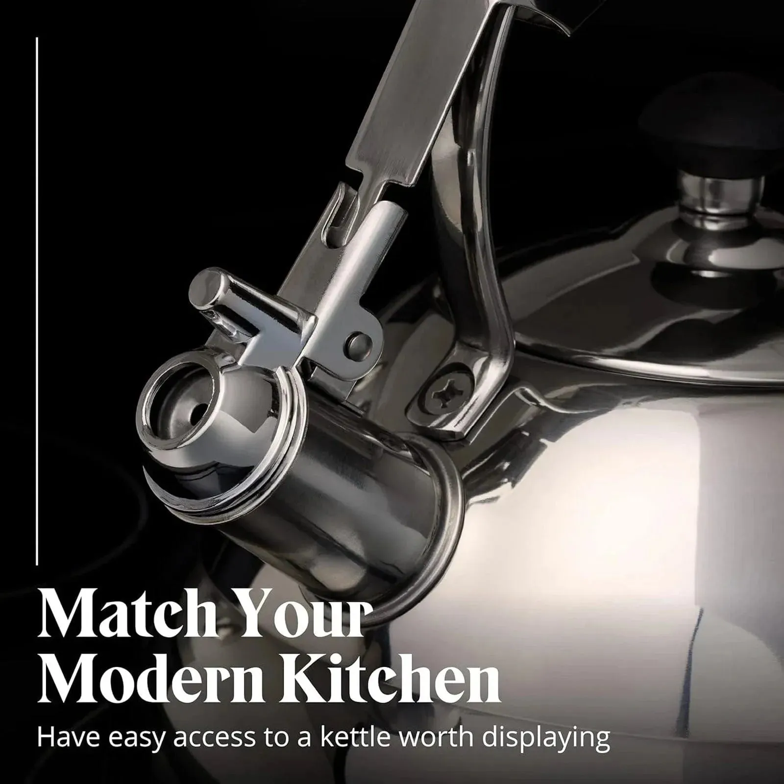 DEMO - Whistling Kettle & Tea Strainer 3L Stainless Steel