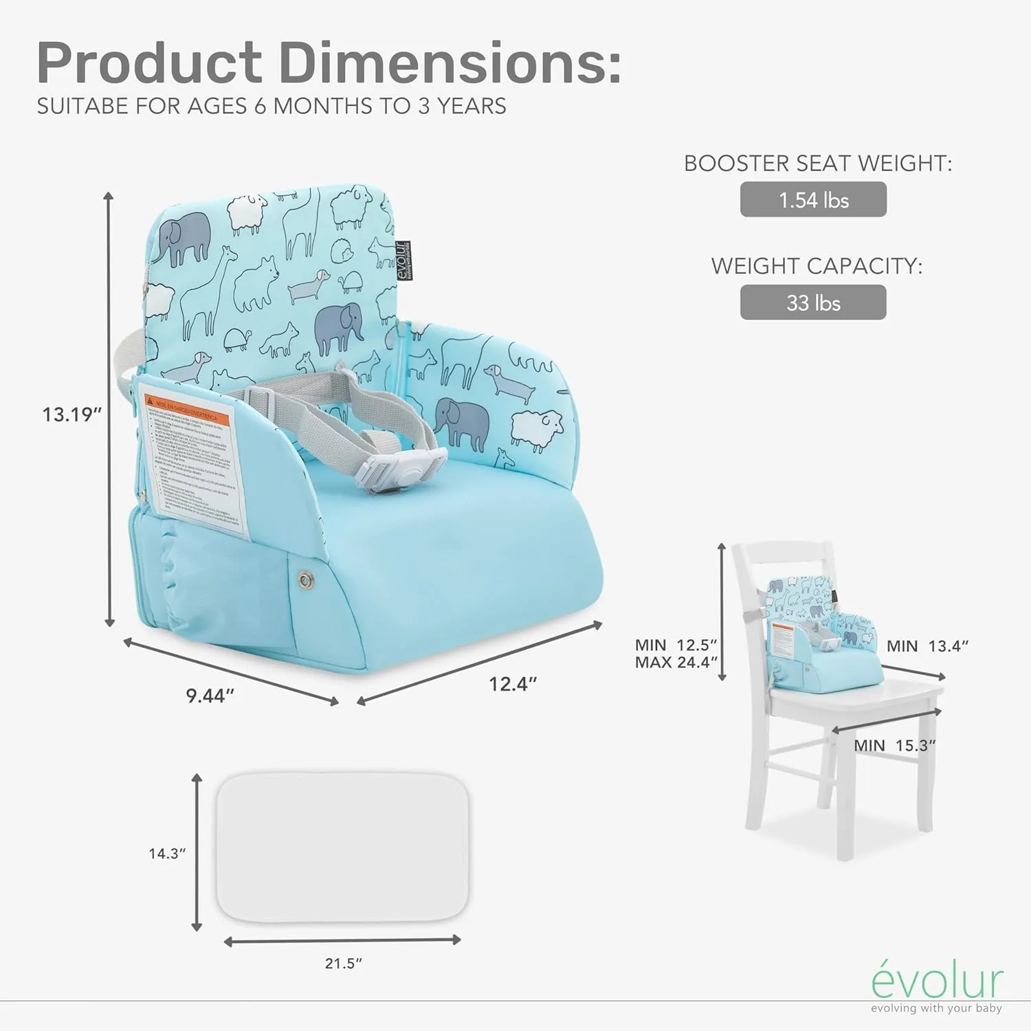 Evolur Snug Packsack 2-in-1 Portable Booster Seat and Travel Bag