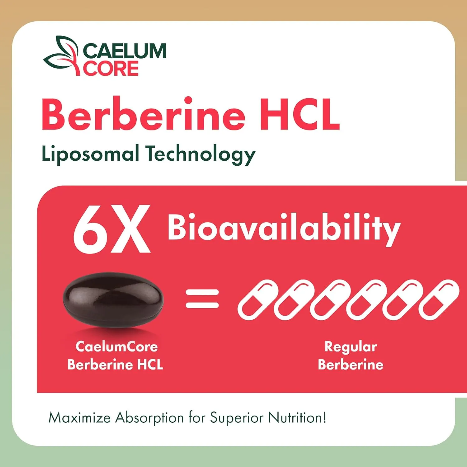 Liposomal Berberine HCL - Berberine 1500mg Activates AMPK & GLP-1, High Bioavailability Berberines Supplement for Women and Men, Berberine Plus Overall Health Support (1 Pack)