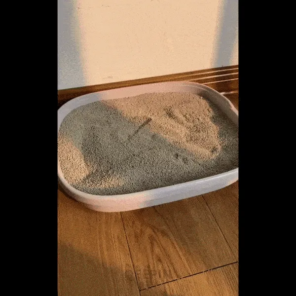 PawPurity Scoop