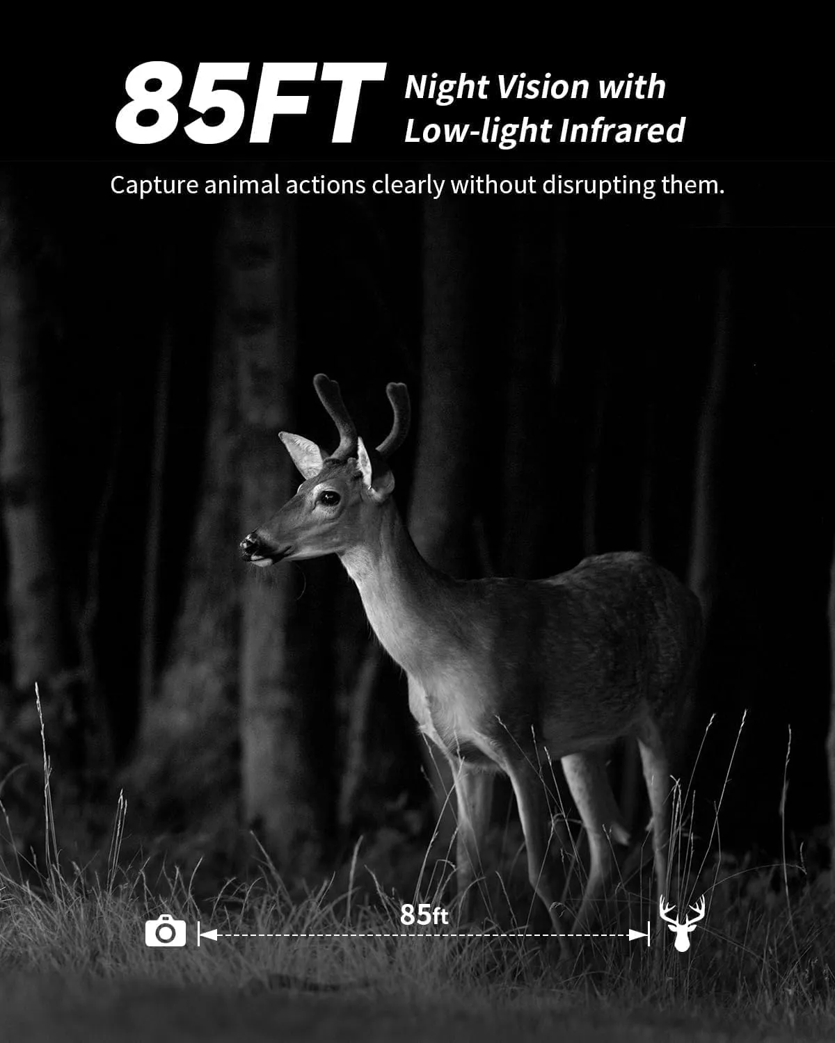 SEHMUA Cellular Trail Cameras with Live Streaming, Built-in 4G LTE SIM Card, Phone Access, Solar Powered Game/Deer Camera, Motion Activated, 0.2s Trigger Time, Low Light Night Vision, IP66 Waterproof