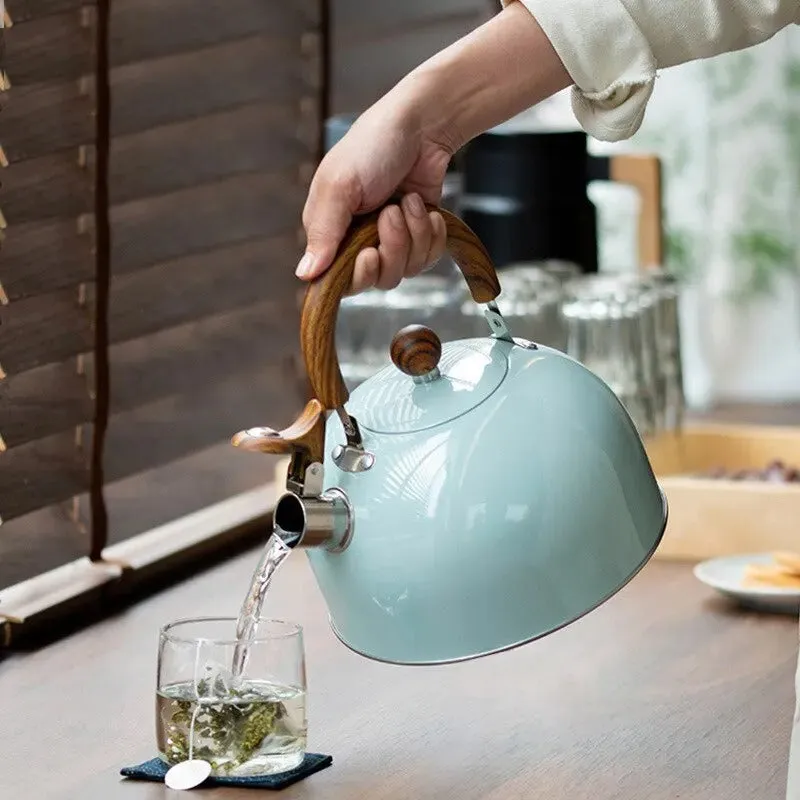 Stainless Steel Whistling Kettle – Elegant, Durable, and Efficient