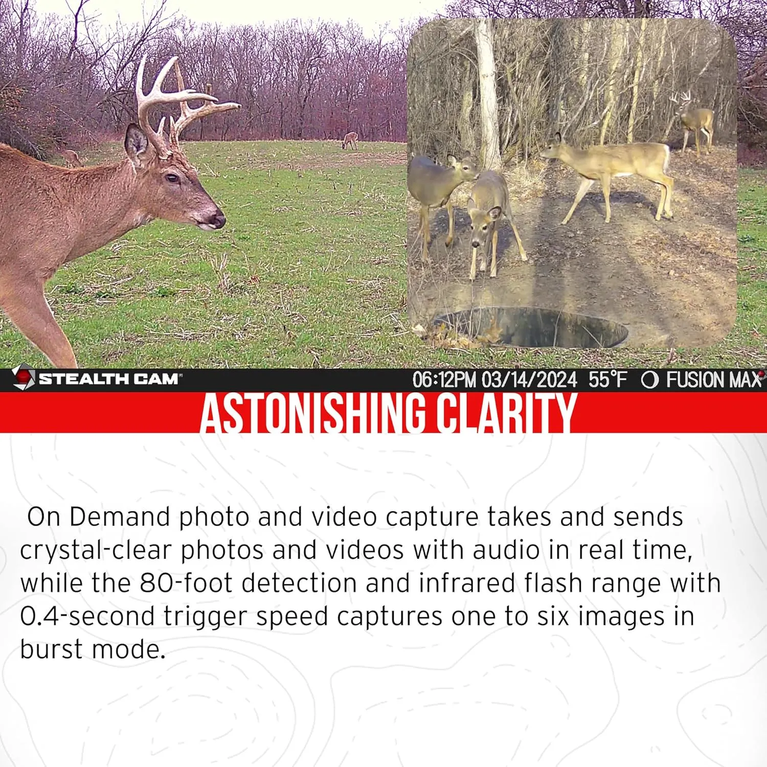 Stealth Cam 36MP Fusion Max Cellular Trail Camera with 80 Feet Detection Range Bundle with Solar Power Pack, Trail Camera Mount Stick, 32GB Memory Card, and USB 2.0 Card Reader (5 Items)
