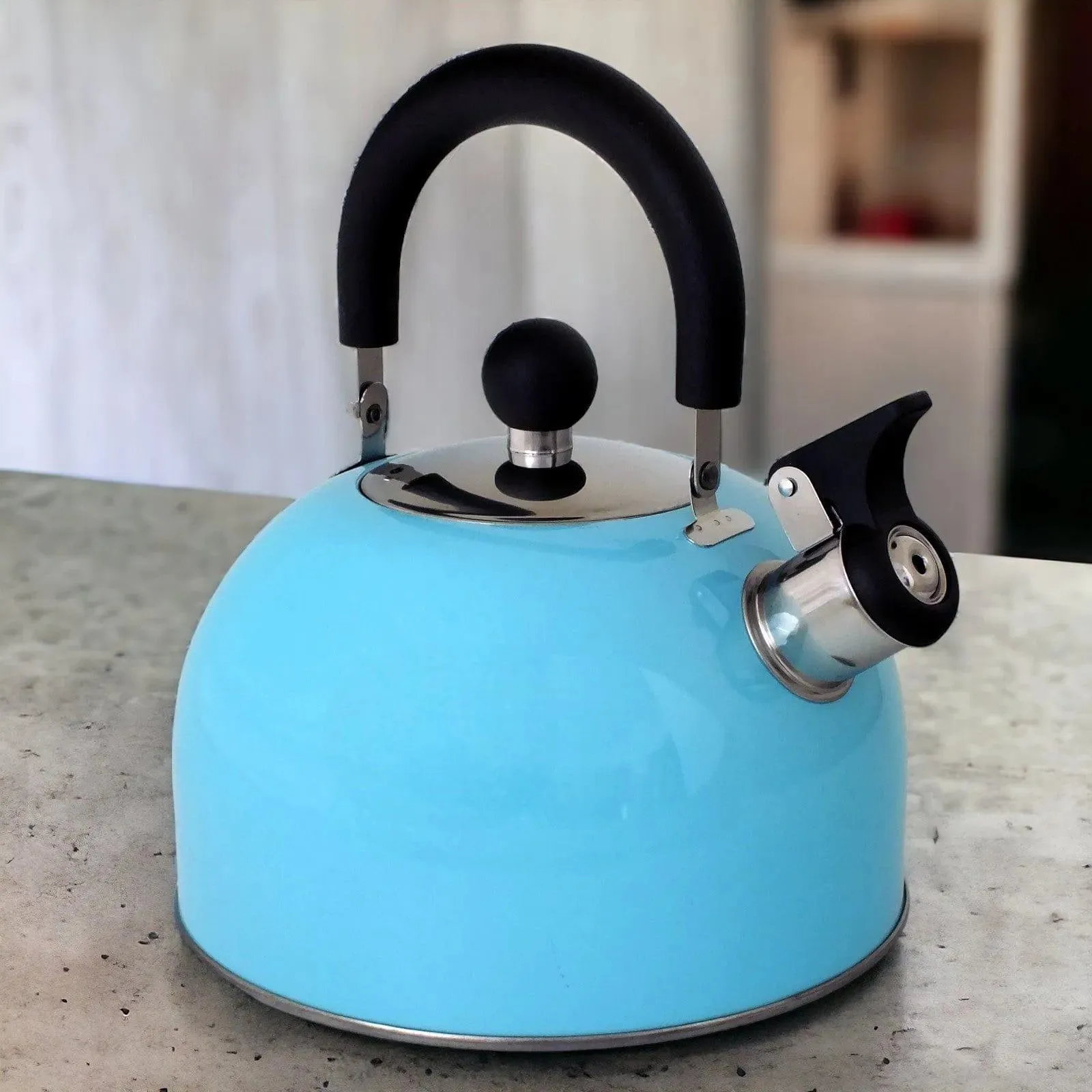 Voche 2.5L Sky Blue Stainless Steel Whistling Stovetop Kettle