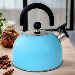 Voche 2.5L Sky Blue Stainless Steel Whistling Stovetop Kettle