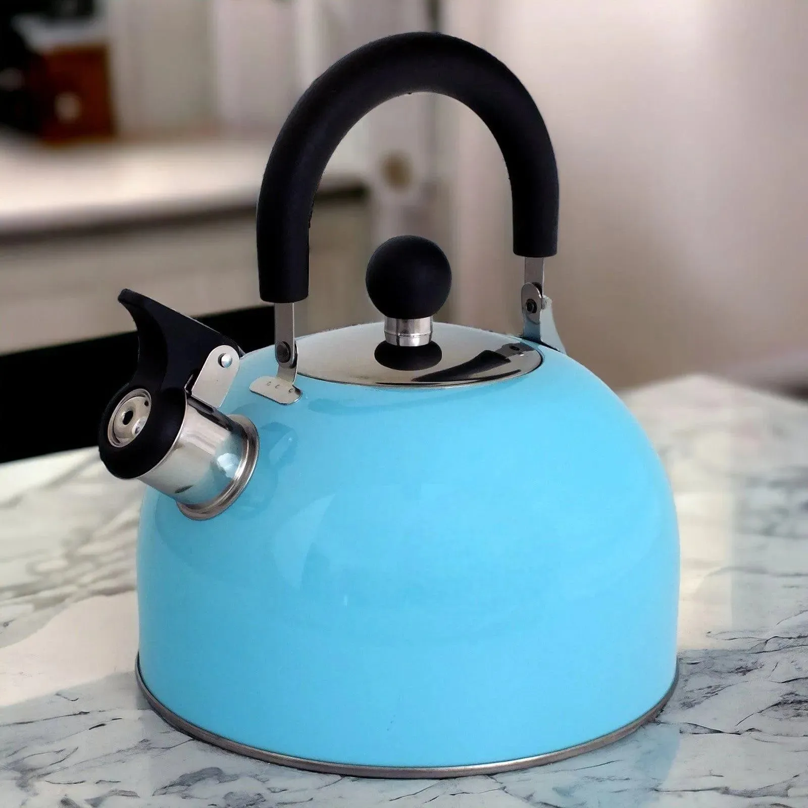 Voche 2.5L Sky Blue Stainless Steel Whistling Stovetop Kettle