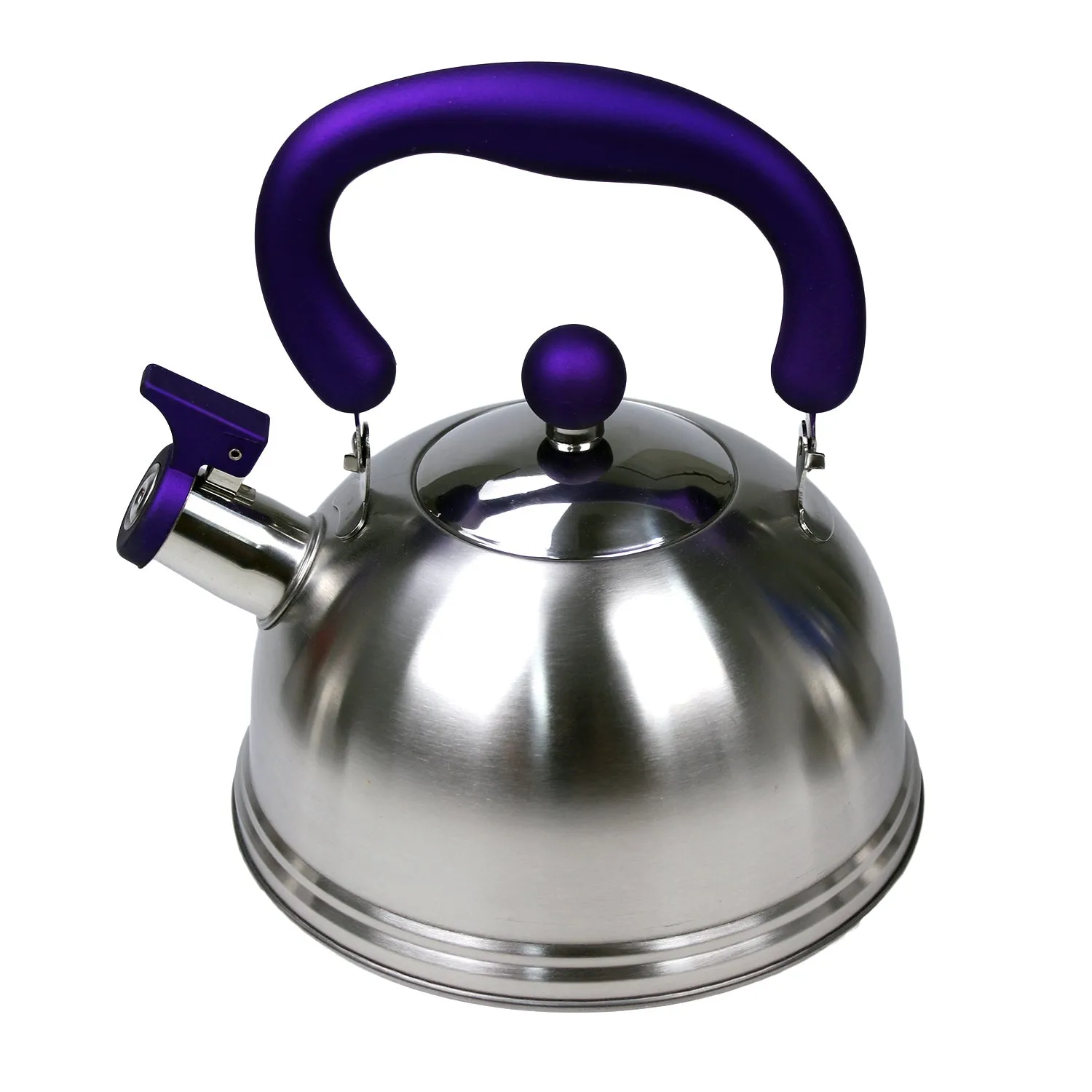 Whistling Kettle Stainless Steel Silver Tea Teapot Camping Stove Top 2.5L Black